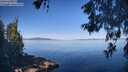 ./images/koeye/fitz-hugh/20260602/fitz-hugh20260602_092001M.jpg