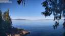 ./images/koeye/fitz-hugh/20260602/fitz-hugh20260602_092501M.jpg