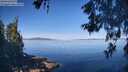 ./images/koeye/fitz-hugh/20260602/fitz-hugh20260602_093001M.jpg