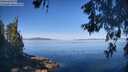 ./images/koeye/fitz-hugh/20260602/fitz-hugh20260602_094001M.jpg