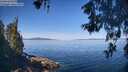 ./images/koeye/fitz-hugh/20260602/fitz-hugh20260602_095502M.jpg