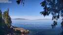 ./images/koeye/fitz-hugh/20260602/fitz-hugh20260602_100002M.jpg