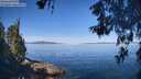 ./images/koeye/fitz-hugh/20260602/fitz-hugh20260602_100501M.jpg
