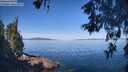 ./images/koeye/fitz-hugh/20260602/fitz-hugh20260602_101001M.jpg