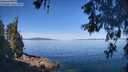 ./images/koeye/fitz-hugh/20260602/fitz-hugh20260602_102001M.jpg