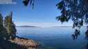 ./images/koeye/fitz-hugh/20260602/fitz-hugh20260602_103001M.jpg