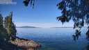 ./images/koeye/fitz-hugh/20260602/fitz-hugh20260602_103501M.jpg