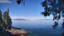 ./images/koeye/fitz-hugh/20260602/fitz-hugh20260602_104501M.jpg
