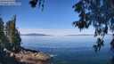 ./images/koeye/fitz-hugh/20260602/fitz-hugh20260602_105501M.jpg