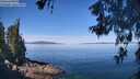./images/koeye/fitz-hugh/20260602/fitz-hugh20260602_110001M.jpg