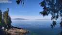 ./images/koeye/fitz-hugh/20260602/fitz-hugh20260602_111001M.jpg