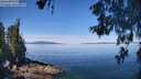 ./images/koeye/fitz-hugh/20260602/fitz-hugh20260602_111501M.jpg