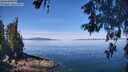 ./images/koeye/fitz-hugh/20260602/fitz-hugh20260602_112002M.jpg