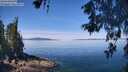 ./images/koeye/fitz-hugh/20260602/fitz-hugh20260602_113001M.jpg