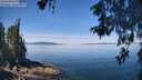 ./images/koeye/fitz-hugh/20260602/fitz-hugh20260602_113501M.jpg