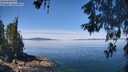 ./images/koeye/fitz-hugh/20260602/fitz-hugh20260602_115001M.jpg