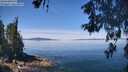 ./images/koeye/fitz-hugh/20260602/fitz-hugh20260602_115501M.jpg