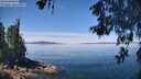 ./images/koeye/fitz-hugh/20260602/fitz-hugh20260602_120001M.jpg