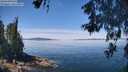 ./images/koeye/fitz-hugh/20260602/fitz-hugh20260602_120501M.jpg