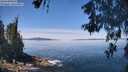 ./images/koeye/fitz-hugh/20260602/fitz-hugh20260602_121001M.jpg