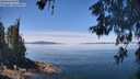 ./images/koeye/fitz-hugh/20260602/fitz-hugh20260602_121501M.jpg