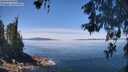 ./images/koeye/fitz-hugh/20260602/fitz-hugh20260602_122001M.jpg