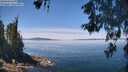 ./images/koeye/fitz-hugh/20260602/fitz-hugh20260602_122502M.jpg