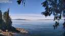 ./images/koeye/fitz-hugh/20260602/fitz-hugh20260602_123001M.jpg