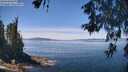 ./images/koeye/fitz-hugh/20260602/fitz-hugh20260602_123501M.jpg