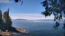 ./images/koeye/fitz-hugh/20260602/fitz-hugh20260602_124001M.jpg