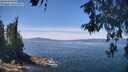 ./images/koeye/fitz-hugh/20260602/fitz-hugh20260602_124501M.jpg