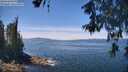 ./images/koeye/fitz-hugh/20260602/fitz-hugh20260602_125001M.jpg