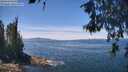 ./images/koeye/fitz-hugh/20260602/fitz-hugh20260602_125501M.jpg