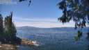 ./images/koeye/fitz-hugh/20260602/fitz-hugh20260602_130001M.jpg