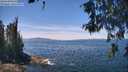 ./images/koeye/fitz-hugh/20260602/fitz-hugh20260602_130502M.jpg