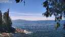 ./images/koeye/fitz-hugh/20260602/fitz-hugh20260602_131001M.jpg