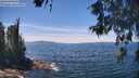 ./images/koeye/fitz-hugh/20260602/fitz-hugh20260602_131501M.jpg