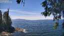 ./images/koeye/fitz-hugh/20260602/fitz-hugh20260602_132501M.jpg