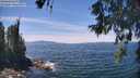 ./images/koeye/fitz-hugh/20260602/fitz-hugh20260602_133501M.jpg