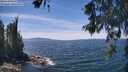 ./images/koeye/fitz-hugh/20260602/fitz-hugh20260602_134001M.jpg