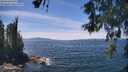 ./images/koeye/fitz-hugh/20260602/fitz-hugh20260602_134501M.jpg