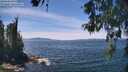 ./images/koeye/fitz-hugh/20260602/fitz-hugh20260602_135001M.jpg