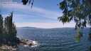 ./images/koeye/fitz-hugh/20260602/fitz-hugh20260602_135501M.jpg