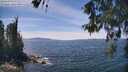 ./images/koeye/fitz-hugh/20260602/fitz-hugh20260602_140501M.jpg