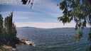 ./images/koeye/fitz-hugh/20260602/fitz-hugh20260602_141001M.jpg