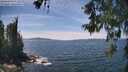 ./images/koeye/fitz-hugh/20260602/fitz-hugh20260602_141501M.jpg