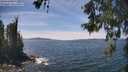 ./images/koeye/fitz-hugh/20260602/fitz-hugh20260602_142001M.jpg