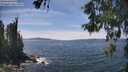 ./images/koeye/fitz-hugh/20260602/fitz-hugh20260602_142502M.jpg
