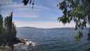 ./images/koeye/fitz-hugh/20260602/fitz-hugh20260602_143001M.jpg