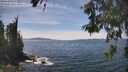 ./images/koeye/fitz-hugh/20260602/fitz-hugh20260602_143501M.jpg